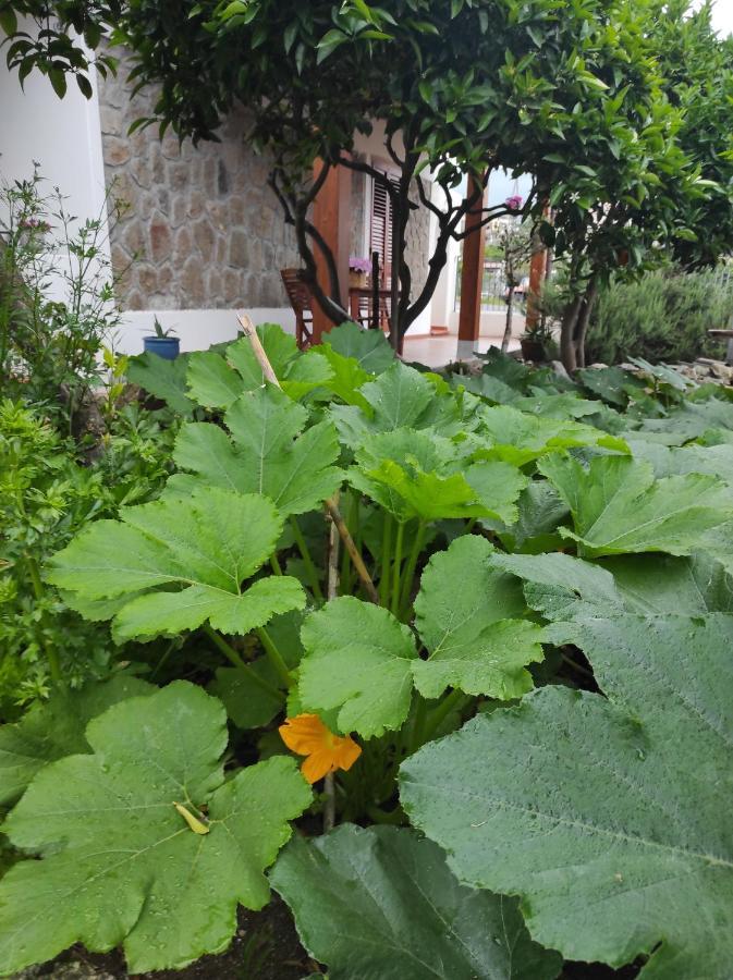Holiday Home Mennulita Lipari  Bagian luar foto
